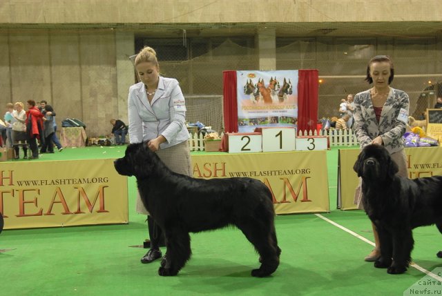 Фотография № 82372