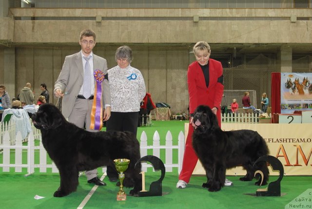 Фотография № 82379