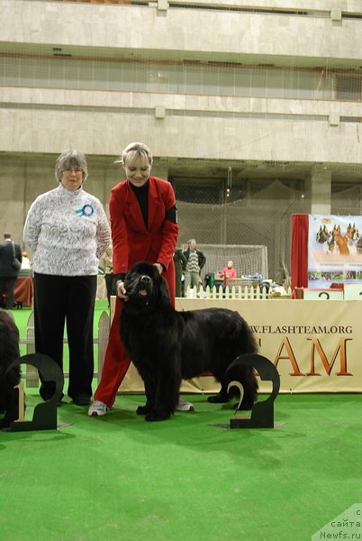 Фотография № 82381