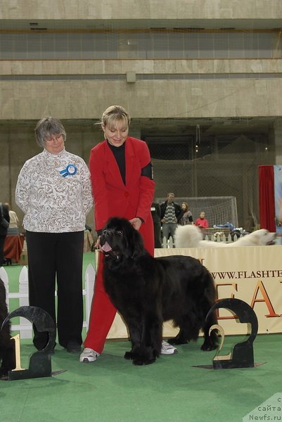 Фотография № 82383