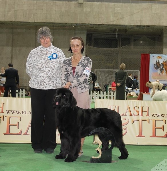 Фотография № 82384