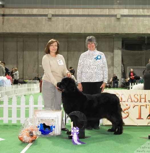 Фотография № 82390