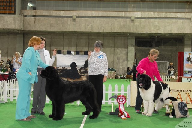 Фотография № 82391