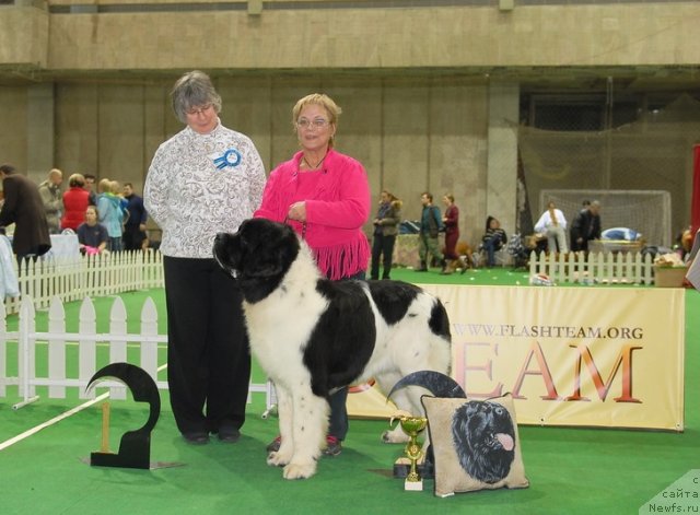 Фотография № 82396