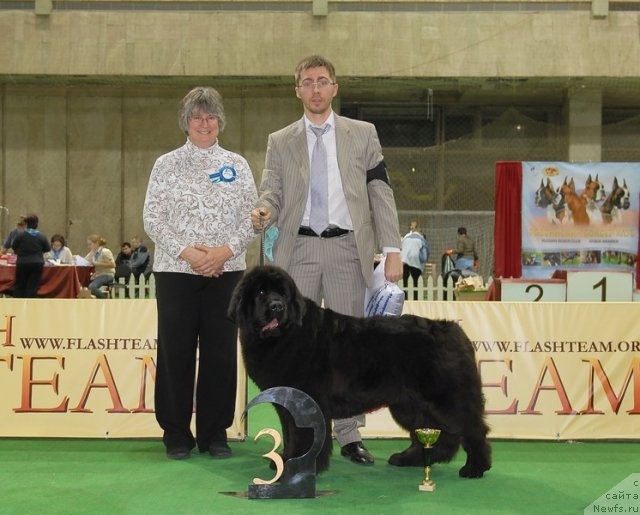 Фотография № 82398