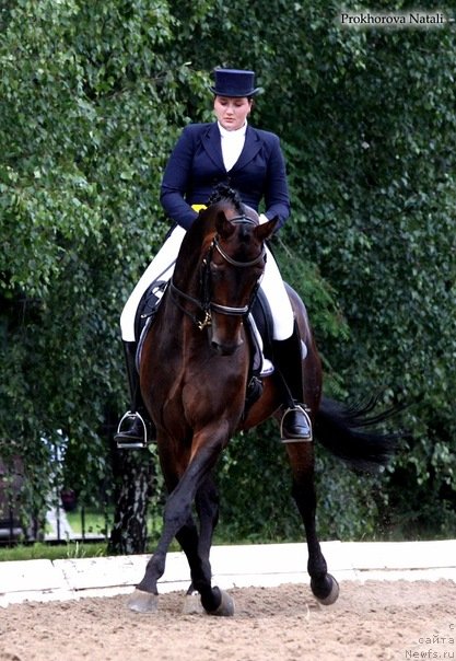 Фото: Мария Шигаль