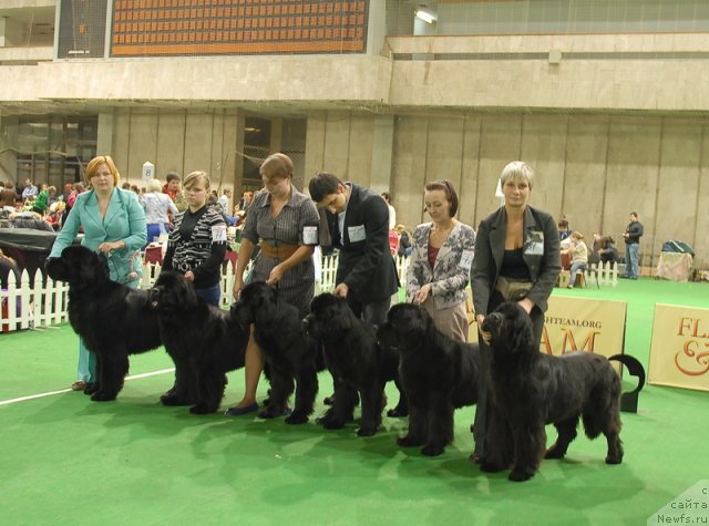 Фотография № 82407