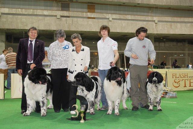 Фотография № 82413