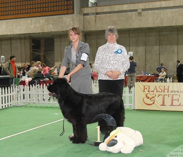 Фотография № 82416