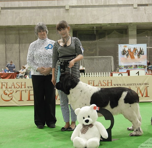 Фотография № 82418