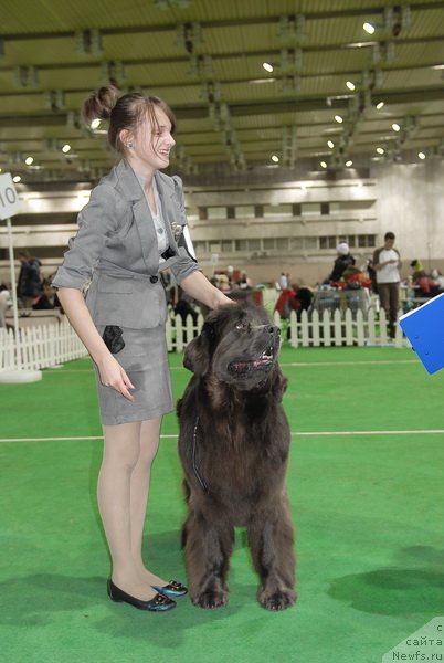 Фотография № 82420