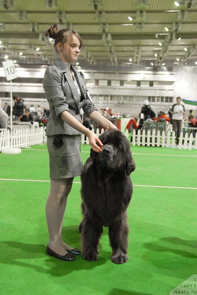 Фотография № 82421