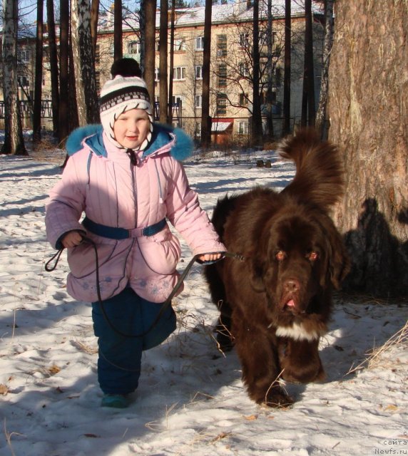 Фото: ньюфаундленд Обуш Шед Янтарный Поцелуй, и внучка Лерочка