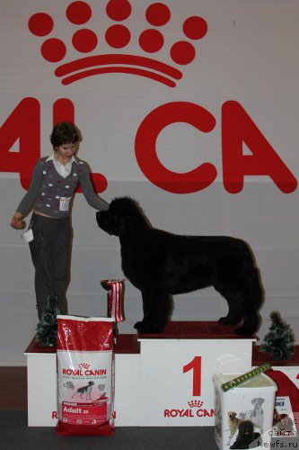 Фотография № 82437