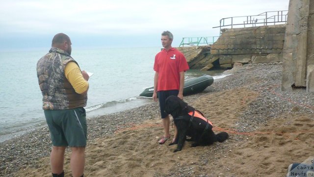 Фото: ньюфаундленд Юнона, Андрей Кошкидько