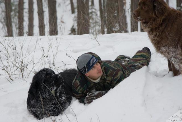 Фото: ньюфаундленд Юган с Тоянова Городка (Ygan s Toyanova Gorodka), Игорь Момот, ньюфаундленд Лесная Сказка Изольда