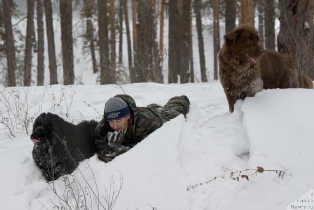 Фото: ньюфаундленд Юган с Тоянова Городка (Ygan s Toyanova Gorodka), Игорь Момот, ньюфаундленд Лесная Сказка Изольда