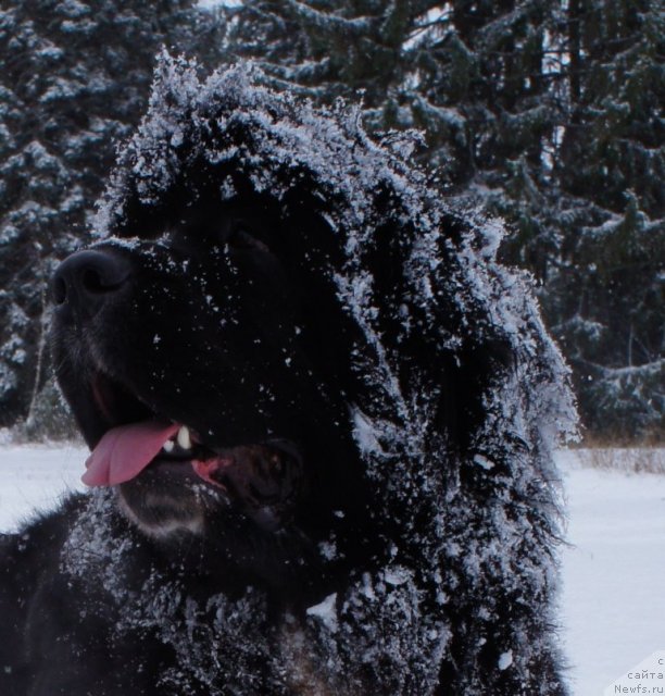 Фотография № 82497