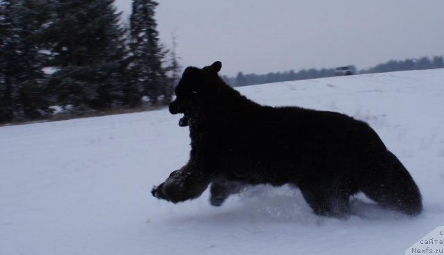 Фотография № 82499