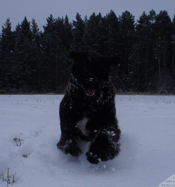 Фотография № 82500