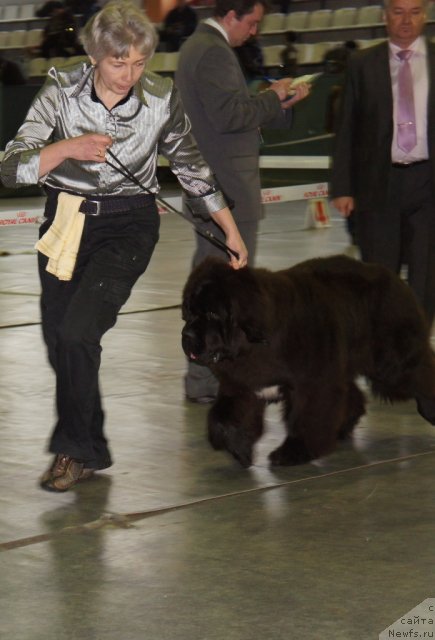 Фотография № 82504