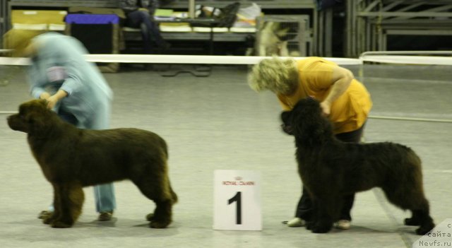 Фотография № 82506