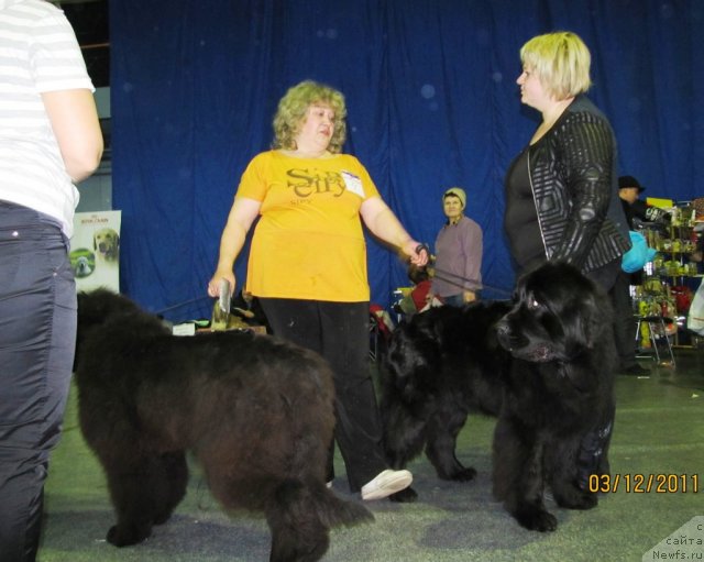 Фото: Ирина Панюшкина, Светлана Ступникова