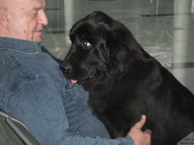 Фотография № 82568