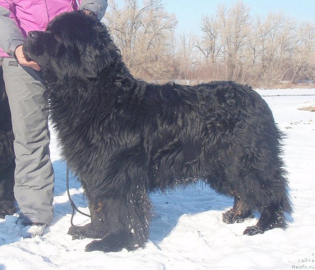 Фотография № 82634