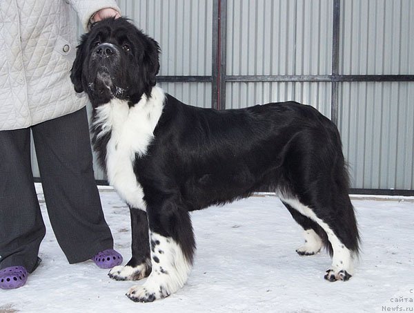 Фотография № 82640