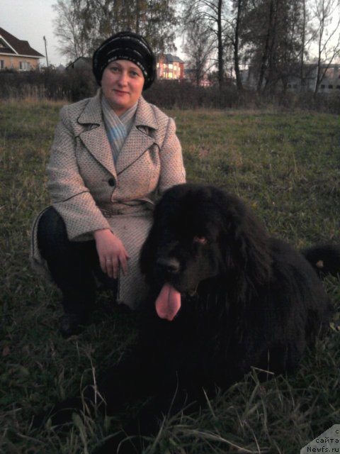 Фото: Орман из Золотого Треугольника