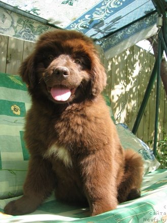 Фотография № 82683