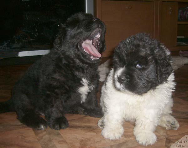 Фотография № 827