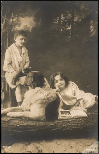 Фотография № 82770