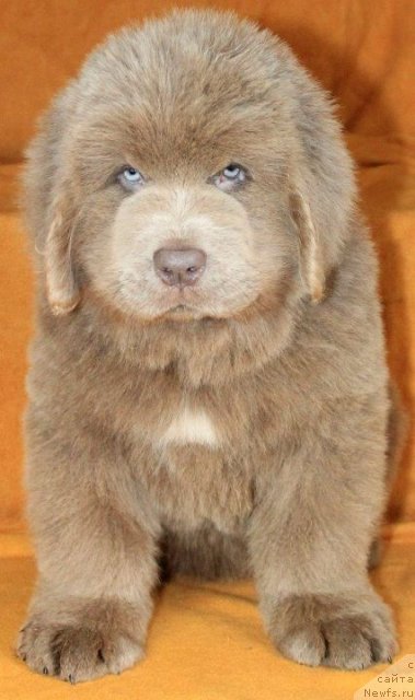 Фотография № 82772