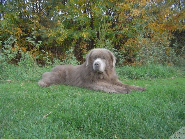 Фотография № 82781