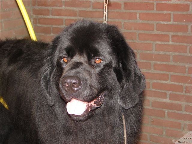 Фотография № 82784