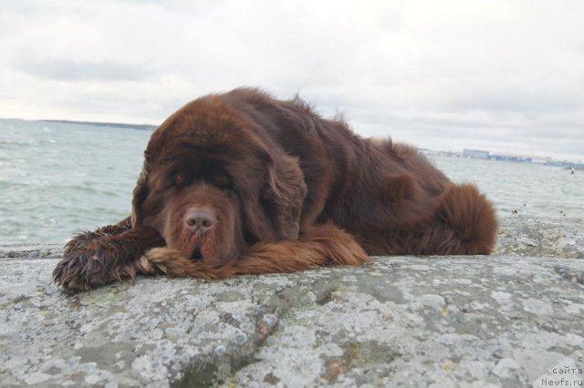 Фотография № 82794