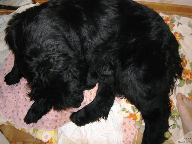 Фотография № 82867