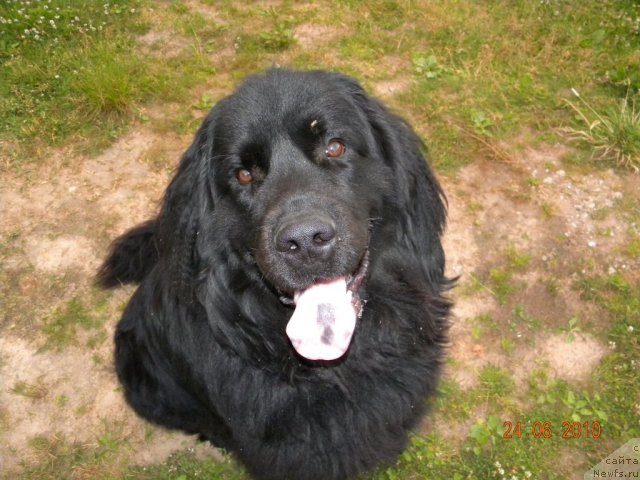 Фото: Ирина Игнатьева