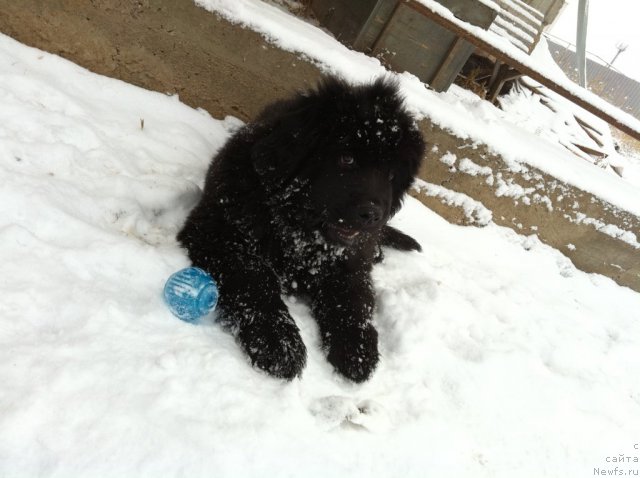 Фото: Елена Горбунова