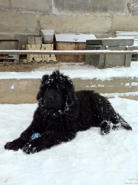 Фото: Елена Горбунова