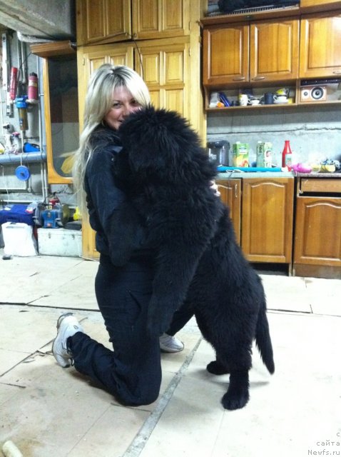 Фото: Елена Горбунова