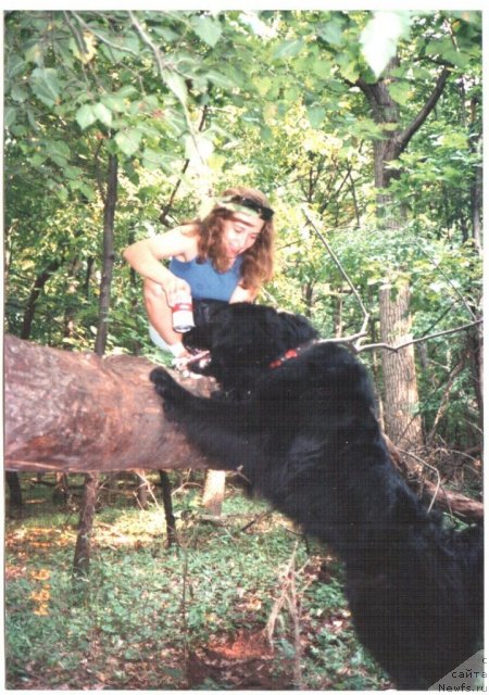 Фотография № 83030