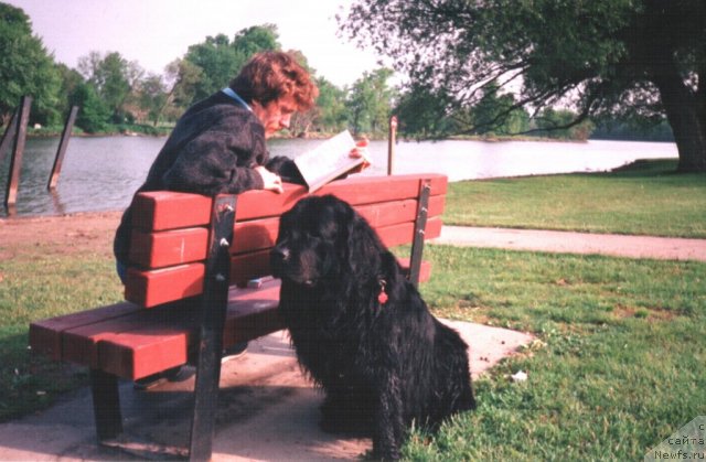 Фотография № 83035