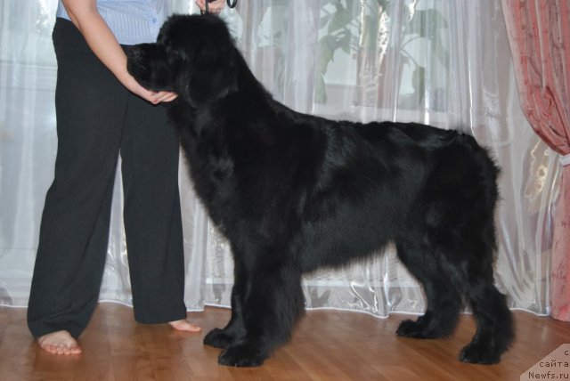 Фотография № 83047