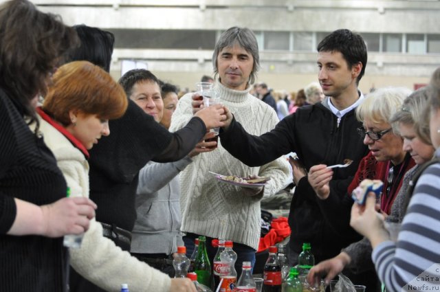 Фотография № 83072