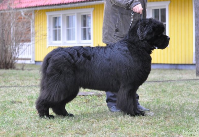 Фотография № 83095