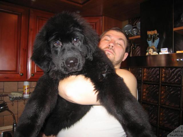 Фото: Оксана Попова