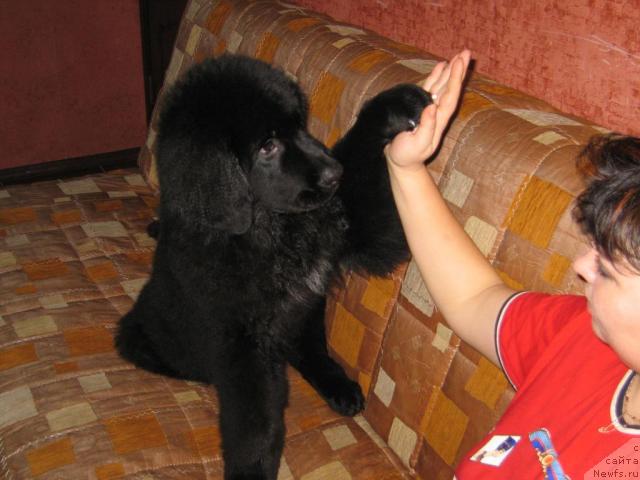 Фото: Оксана Попова